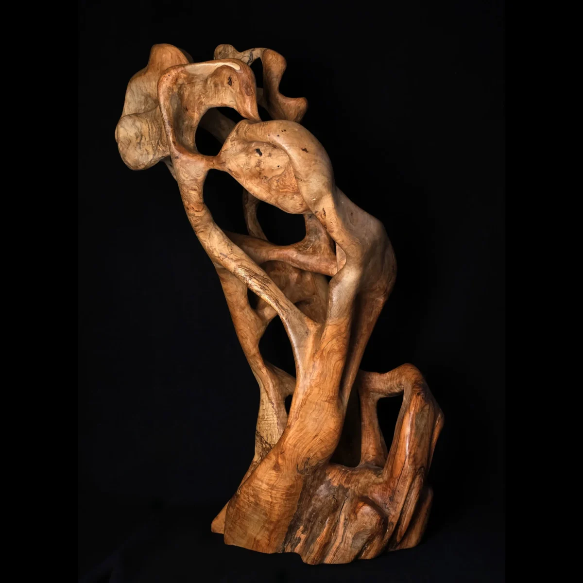 Tissu du Temps – Sculpture en bois d’olivier 5