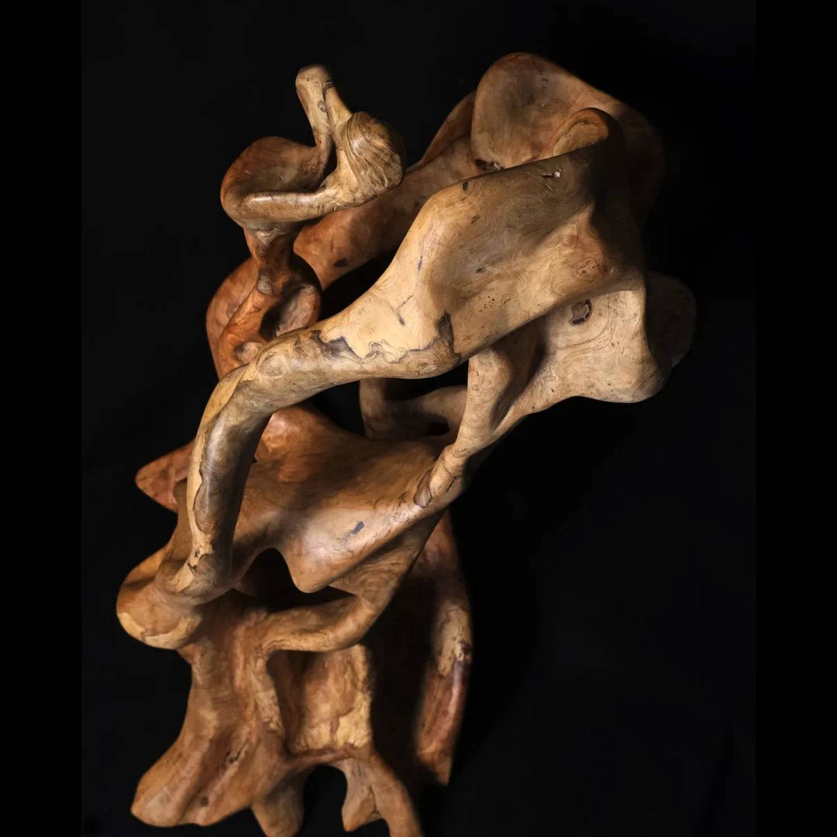 Tissu du Temps – Sculpture en bois d’olivier 11