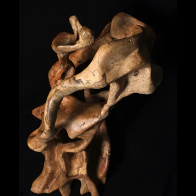 Tissu du Temps – Sculpture en bois d’olivier 11