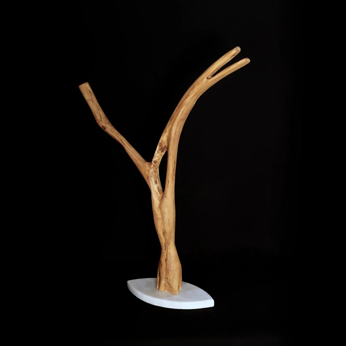 Au bord de l'envol