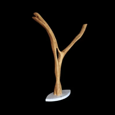Au bord de l'envol
