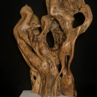 Chronicles of Beginning — olive wood sculpture