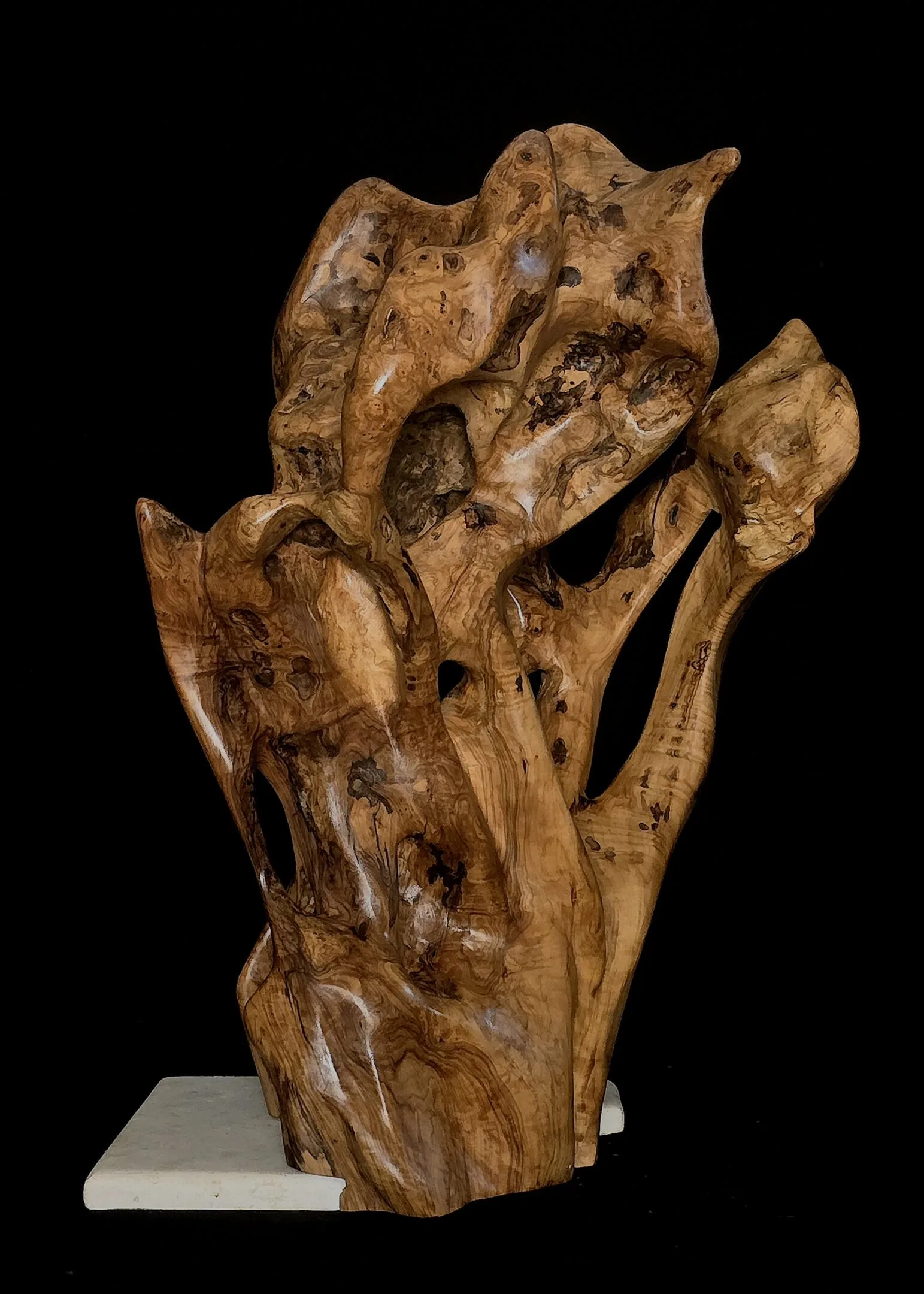 Chroniques du Commencement – sculpture en bois d’olivier, photo 5