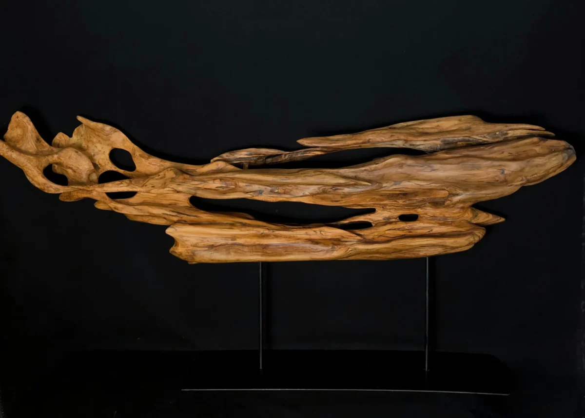 Ryūgin no Kage - Shadow of the Dragon-Fish — olive wood sculpture, photo 7