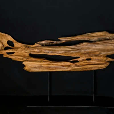 Ryūgin no Kage - Shadow of the Dragon-Fish — olive wood sculpture, photo 7