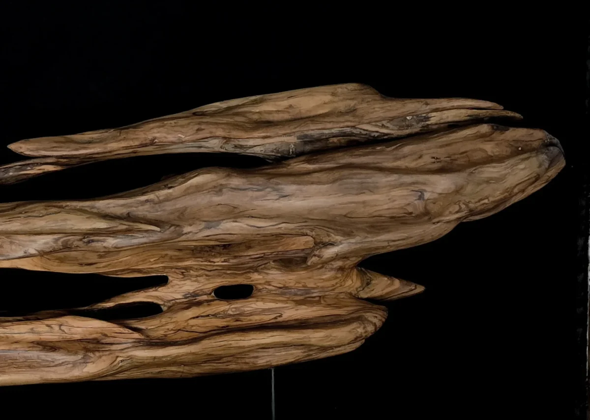 Ryūgin no Kage - Shadow of the Dragon-Fish — olive wood sculpture, photo 6