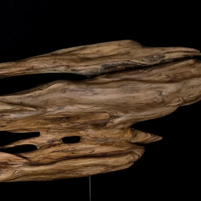 Ryūgin no Kage - Shadow of the Dragon-Fish — olive wood sculpture, photo 6