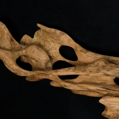 Ryūgin no Kage - Shadow of the Dragon-Fish — olive wood sculpture, photo 5