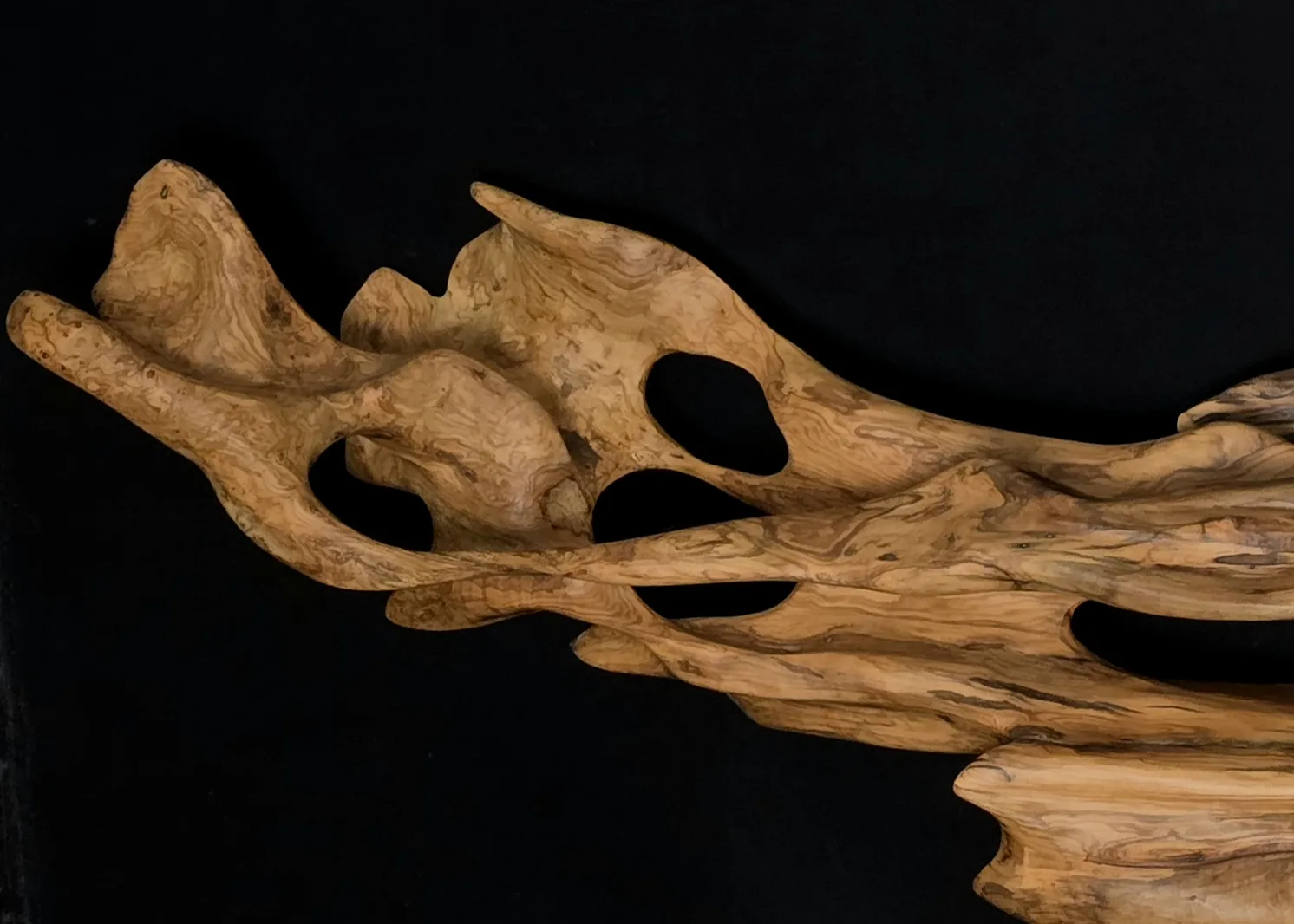 Ryūgin no Kage – L’Ombre du Dragon-Poisson – sculpture en bois d’olivier, photo 5