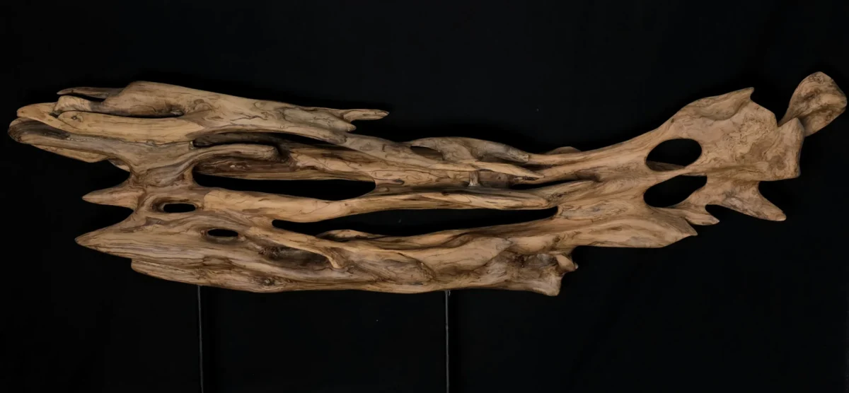 Ryūgin no Kage - Shadow of the Dragon-Fish — olive wood sculpture, photo 4