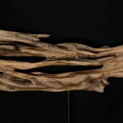 Ryūgin no Kage - Shadow of the Dragon-Fish — olive wood sculpture, photo 4