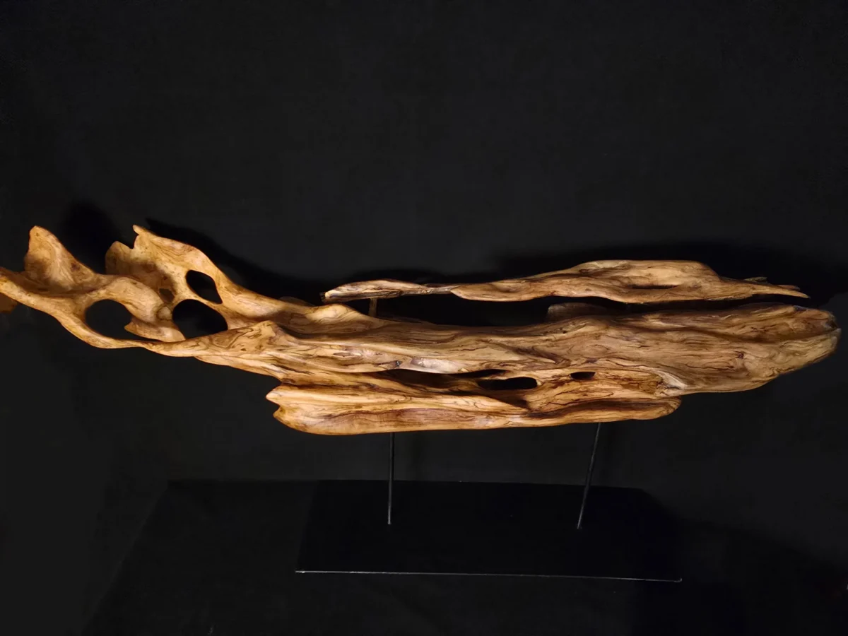 Ryūgin no Kage - Shadow of the Dragon-Fish — olive wood sculpture, photo 3