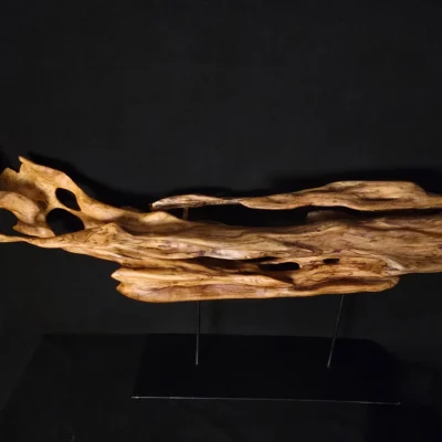 Ryūgin no Kage - Shadow of the Dragon-Fish — olive wood sculpture, photo 3
