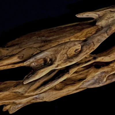Ryūgin no Kage - Shadow of the Dragon-Fish — olive wood sculpture, photo 2