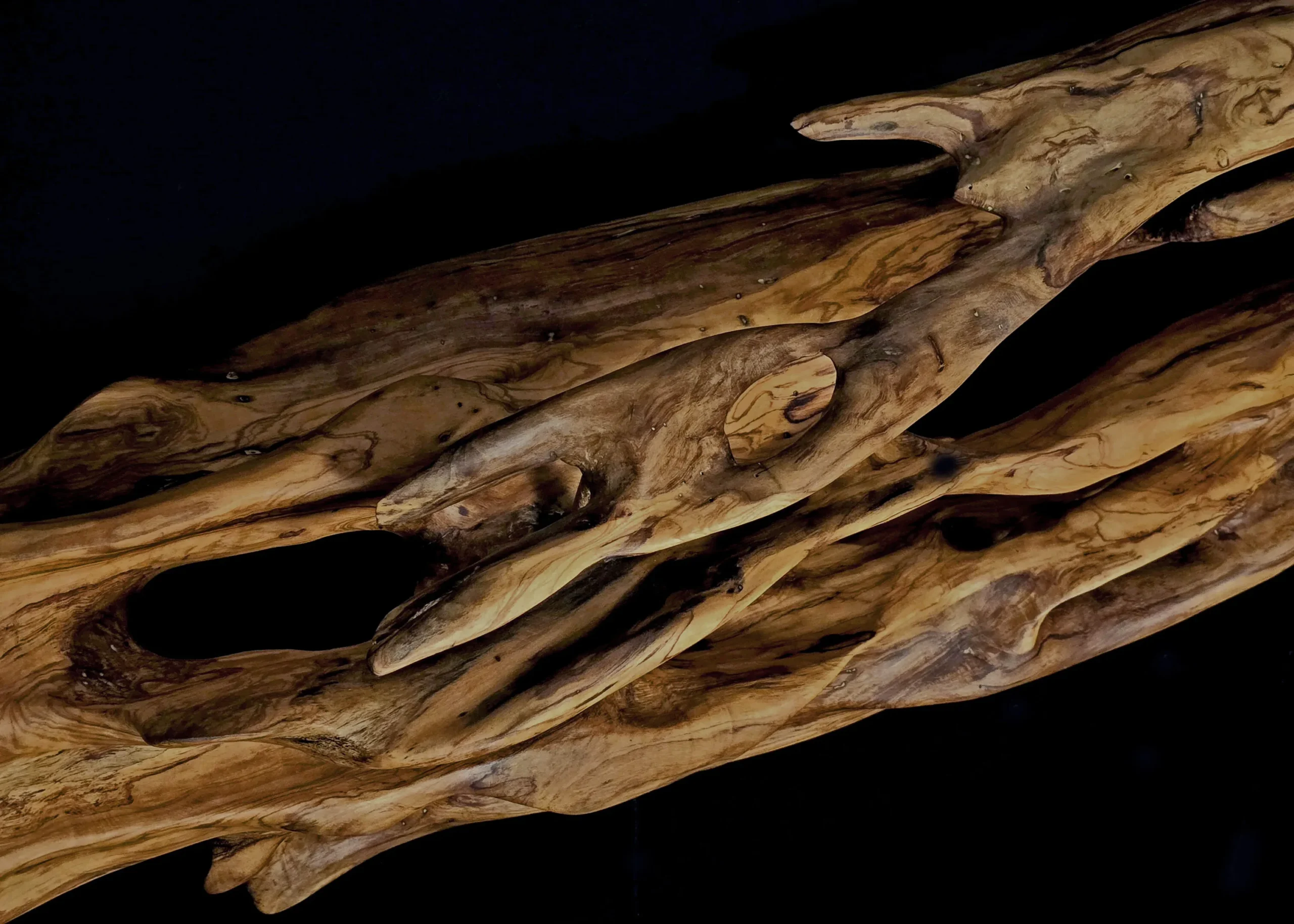 Ryūgin no Kage – L’Ombre du Dragon-Poisson – sculpture en bois d’olivier, photo 2