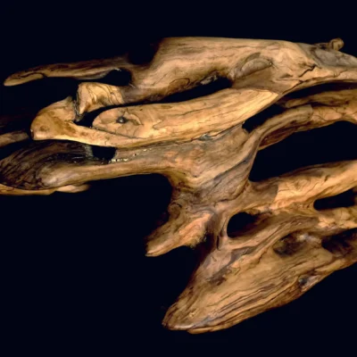 Ryūgin no Kage - Shadow of the Dragon-Fish — olive wood sculpture, photo 8