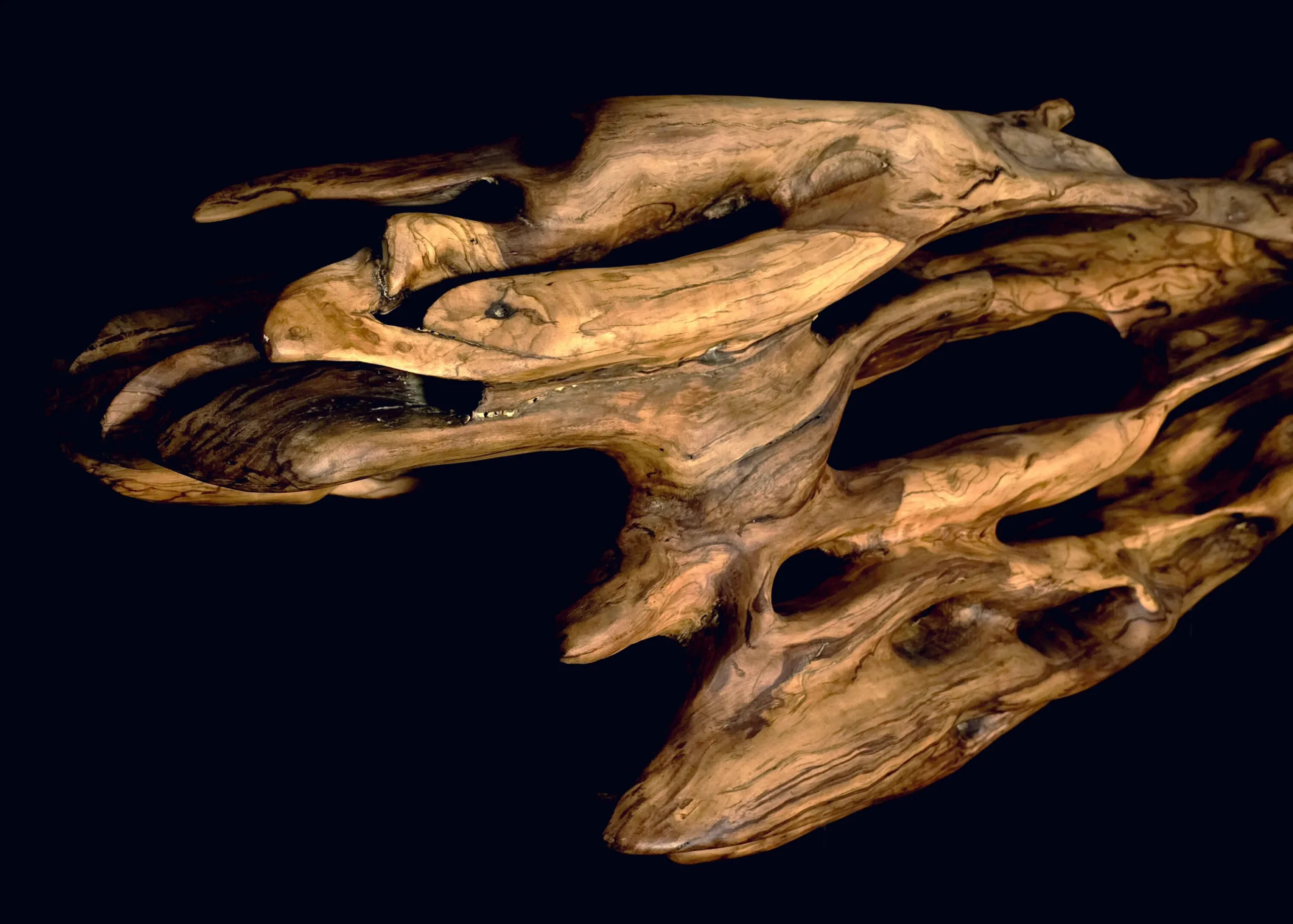 Ryūgin no Kage – L’Ombre du Dragon-Poisson – sculpture en bois d’olivier, photo 8