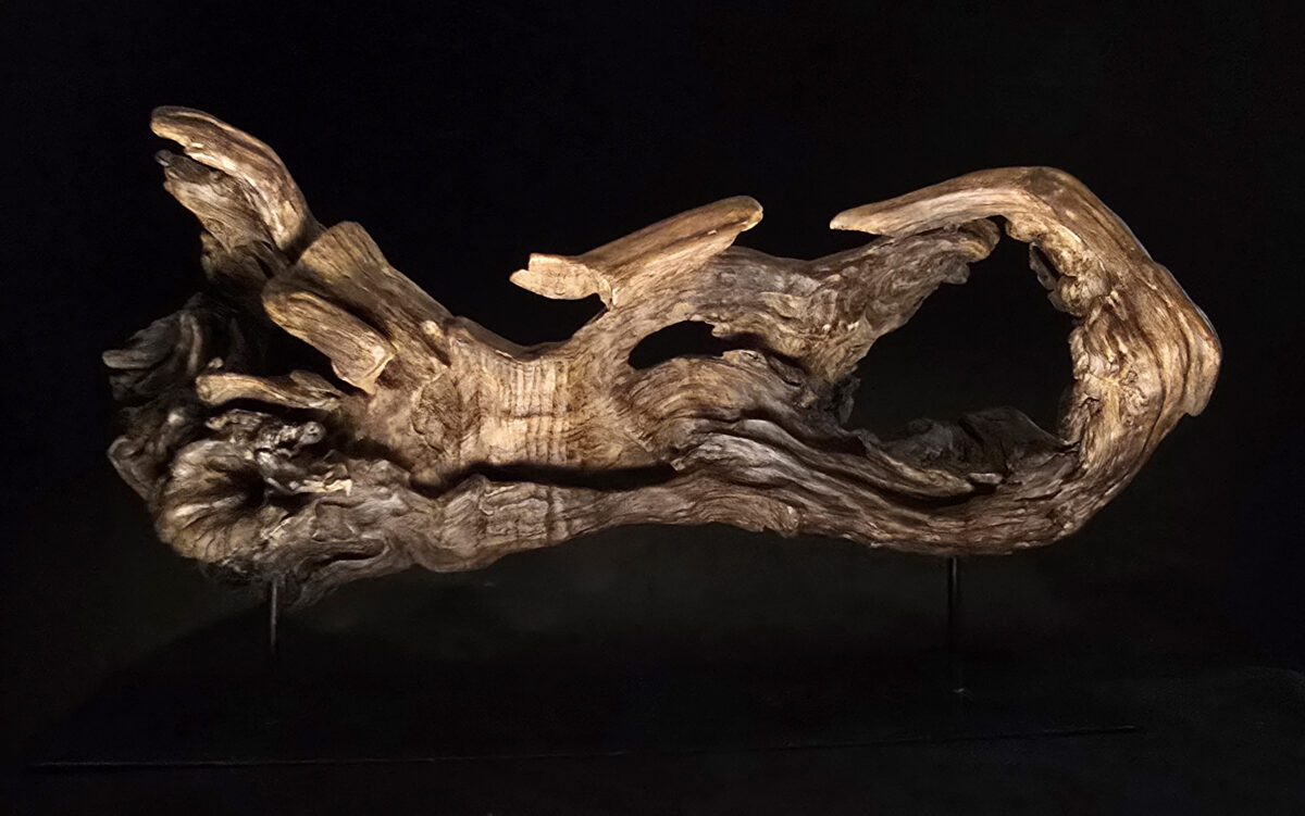 Songe figé du temps – sculpture en bois d’olivier