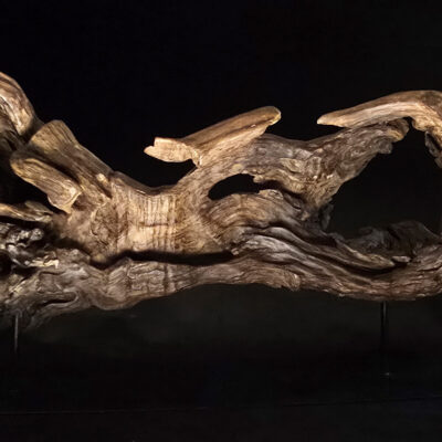 Songe figé du temps – sculpture en bois d’olivier