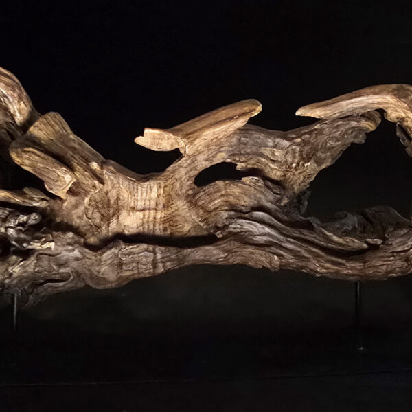 Songe figé du temps – sculpture en bois d’olivier