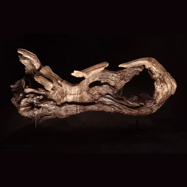 Songe figé du temps – sculpture en bois d’olivier