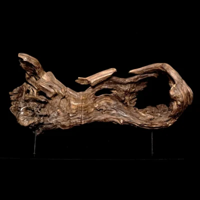 Songe figé du temps – sculpture en bois d’olivier, photo 3