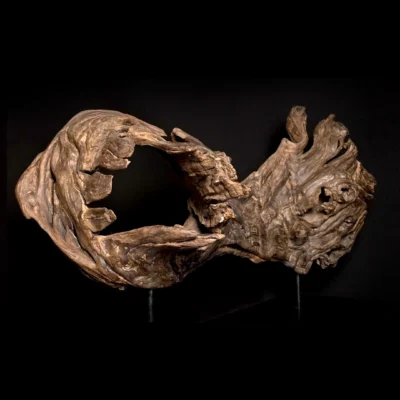 Songe figé du temps – sculpture en bois d’olivier, photo 5