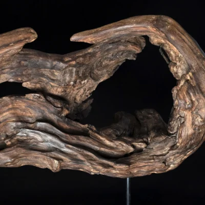 Songe figé du temps – sculpture en bois d’olivier, photo 8
