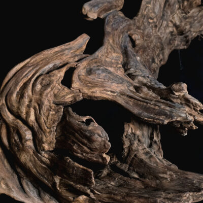 Songe figé du temps – sculpture en bois d’olivier, photo 9