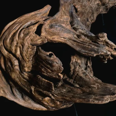 Songe figé du temps – sculpture en bois d’olivier, photo 9