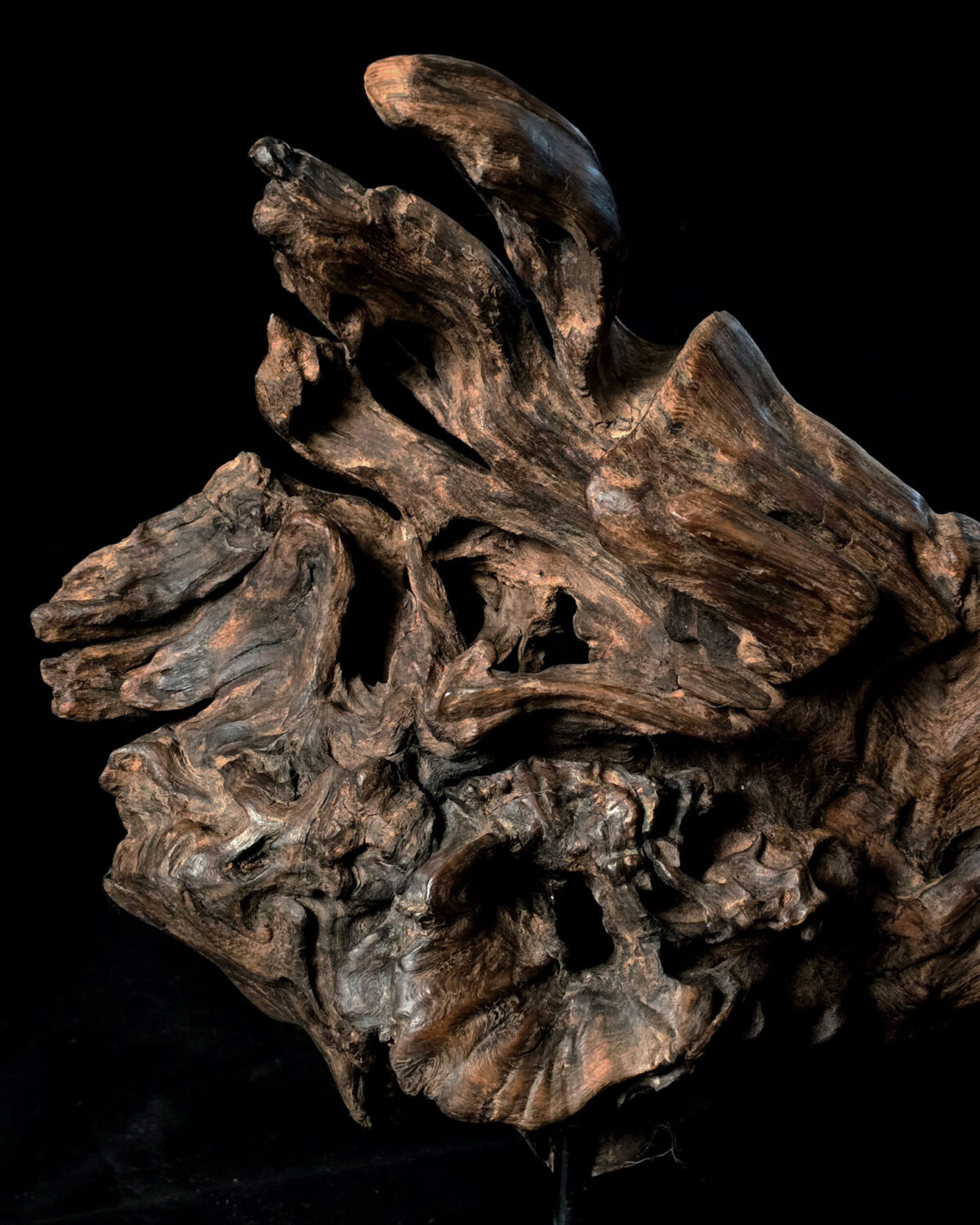 Songe figé du temps – sculpture en bois d’olivier, photo 12