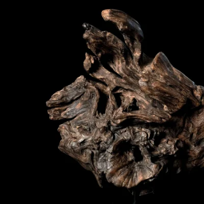 Songe figé du temps – sculpture en bois d’olivier, photo 12