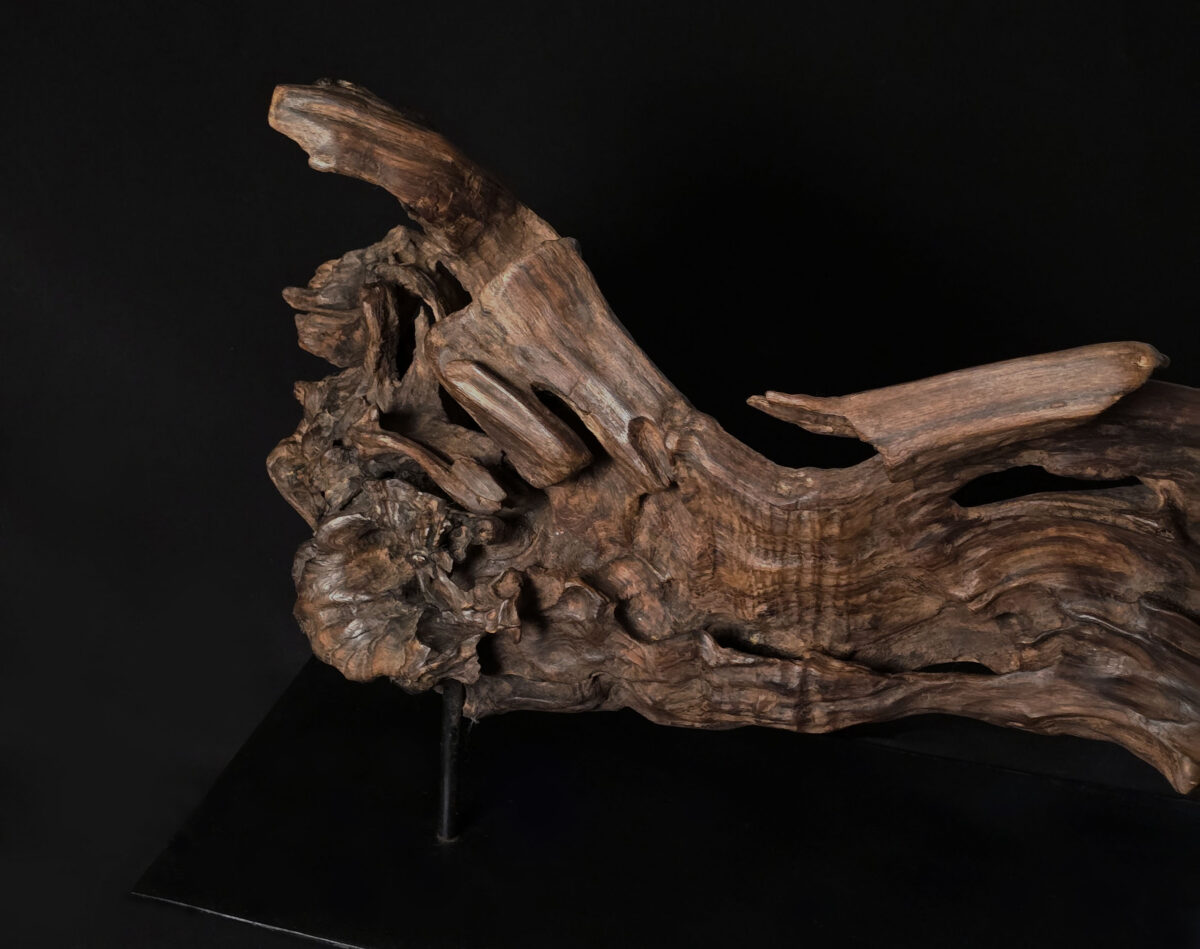 Songe figé du temps – sculpture en bois d’olivier, photo 13