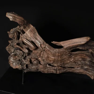 Songe figé du temps – sculpture en bois d’olivier, photo 13