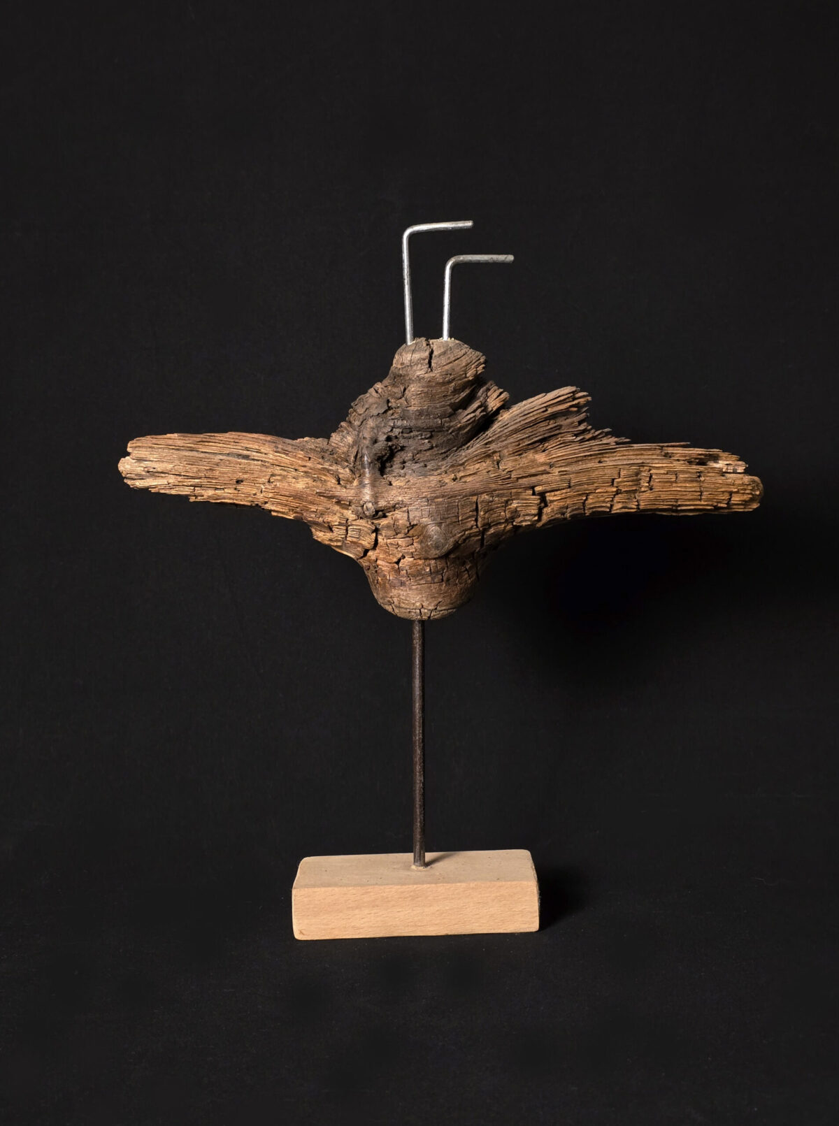 Vétéran des profondeurs – sculpture en bois d’olivier