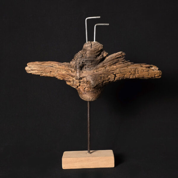 Vétéran des profondeurs Vétéran des profondeurs – sculpture en bois d’olivier