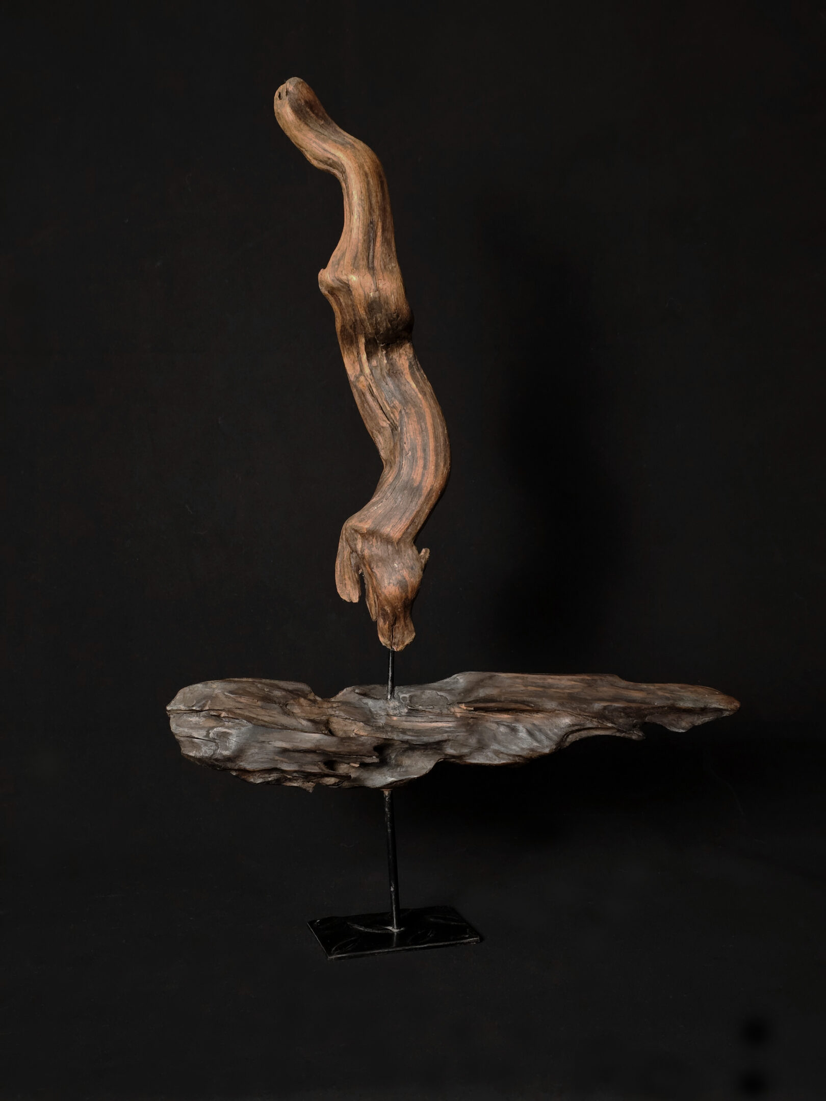 Courant ascendant – sculpture en bois d’olivier