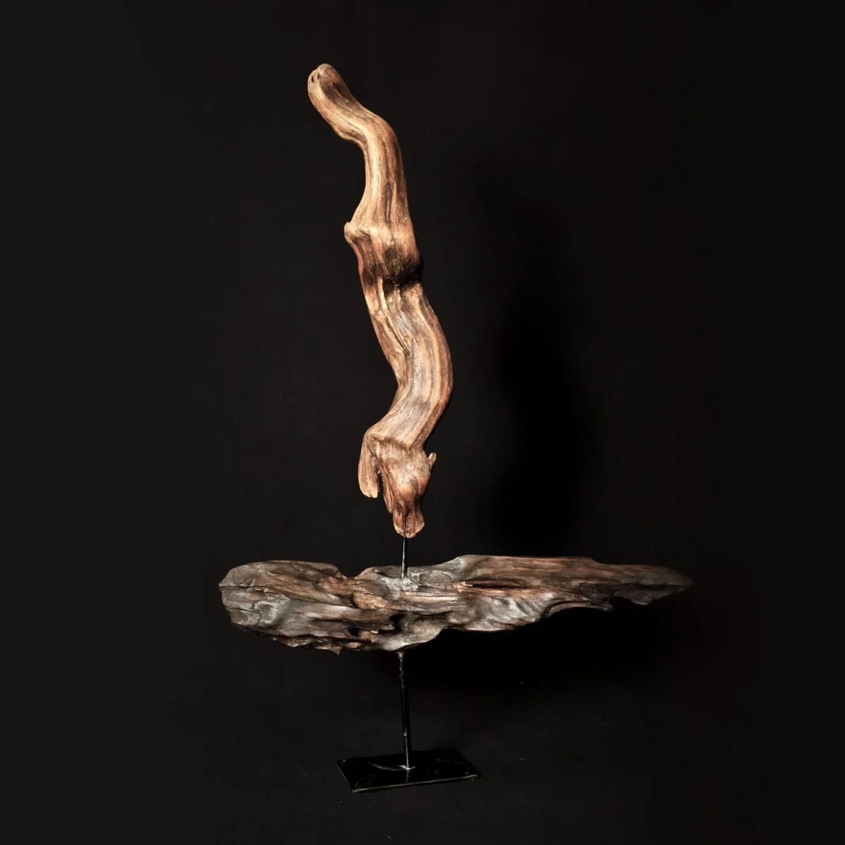 Updraft — olive wood sculpture