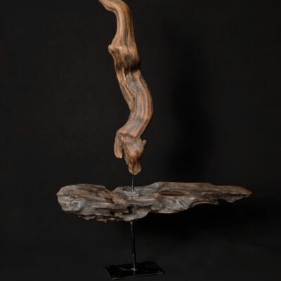 Courant ascendant – sculpture en bois d’olivier