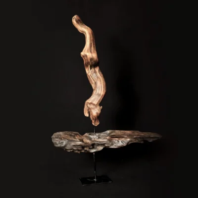 Updraft — olive wood sculpture