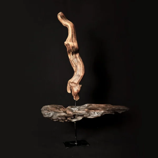 Updraft — olive wood sculpture