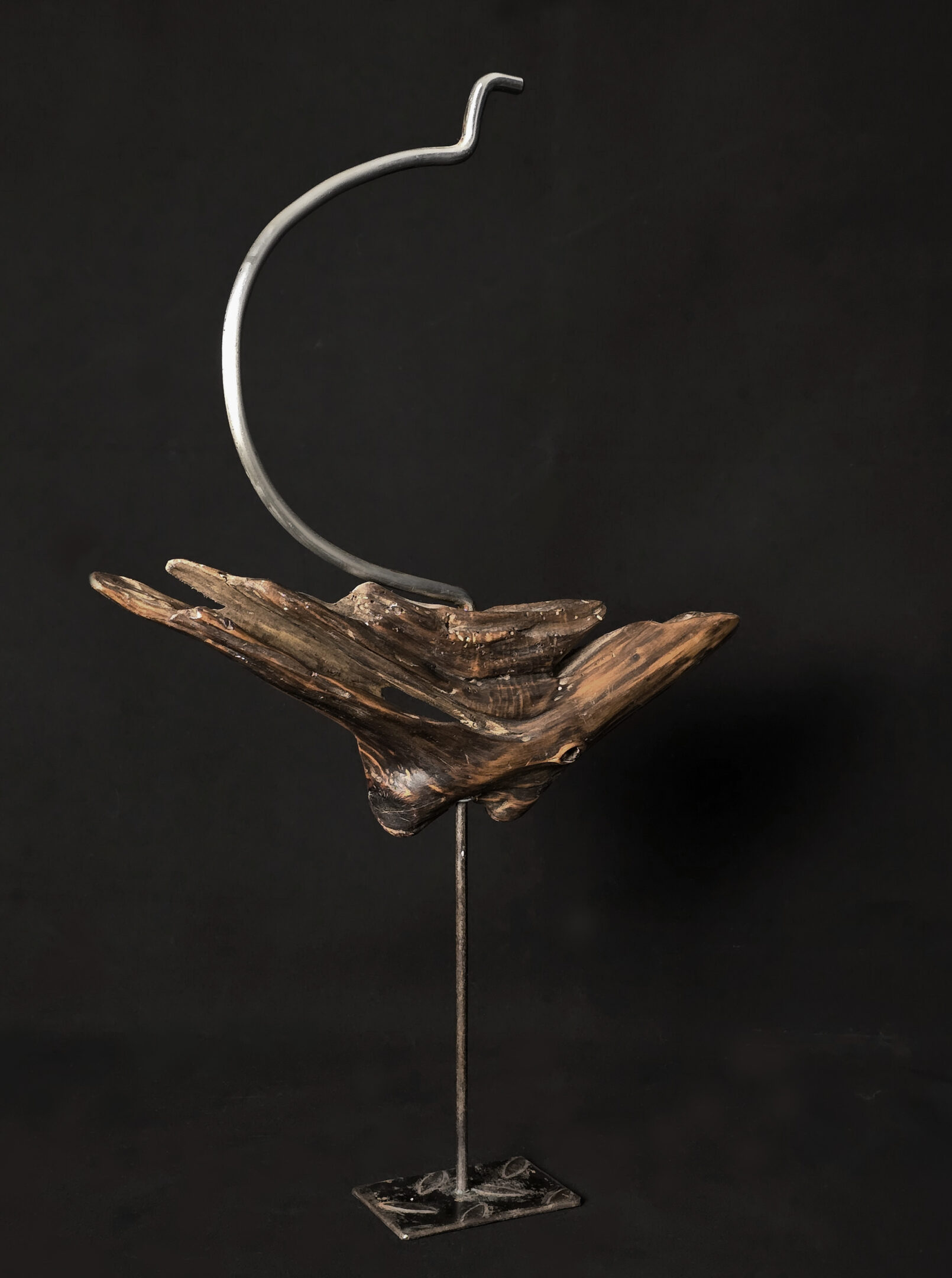 Vol libre – sculpture en bois d’olivier