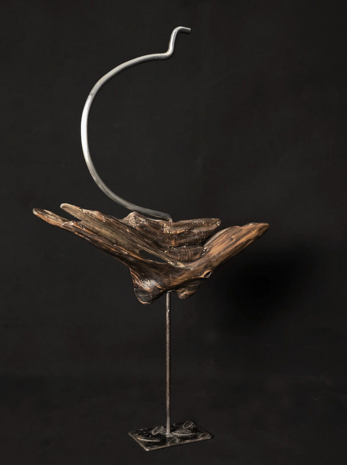 Vol libre – sculpture en bois d’olivier