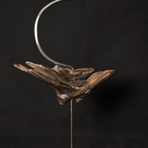 Vol libre Vol libre – sculpture en bois d’olivier