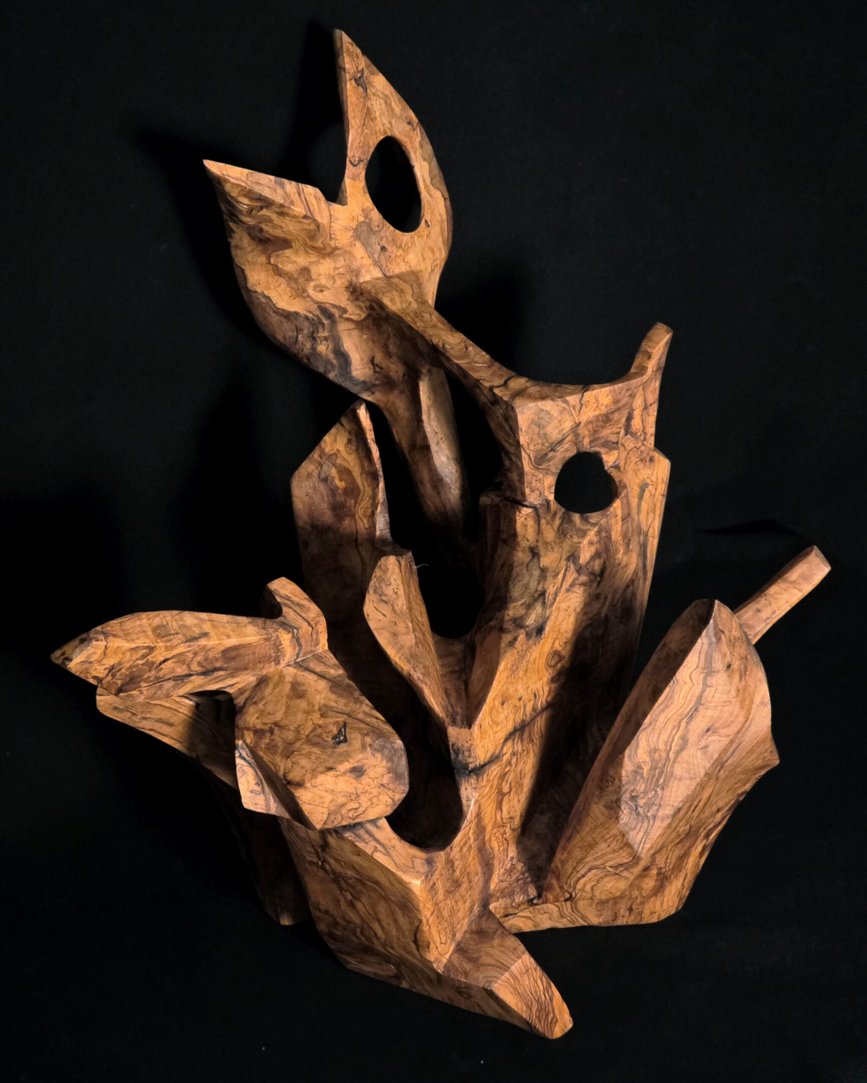 Temps pétrifié – sculpture en bois d’olivier