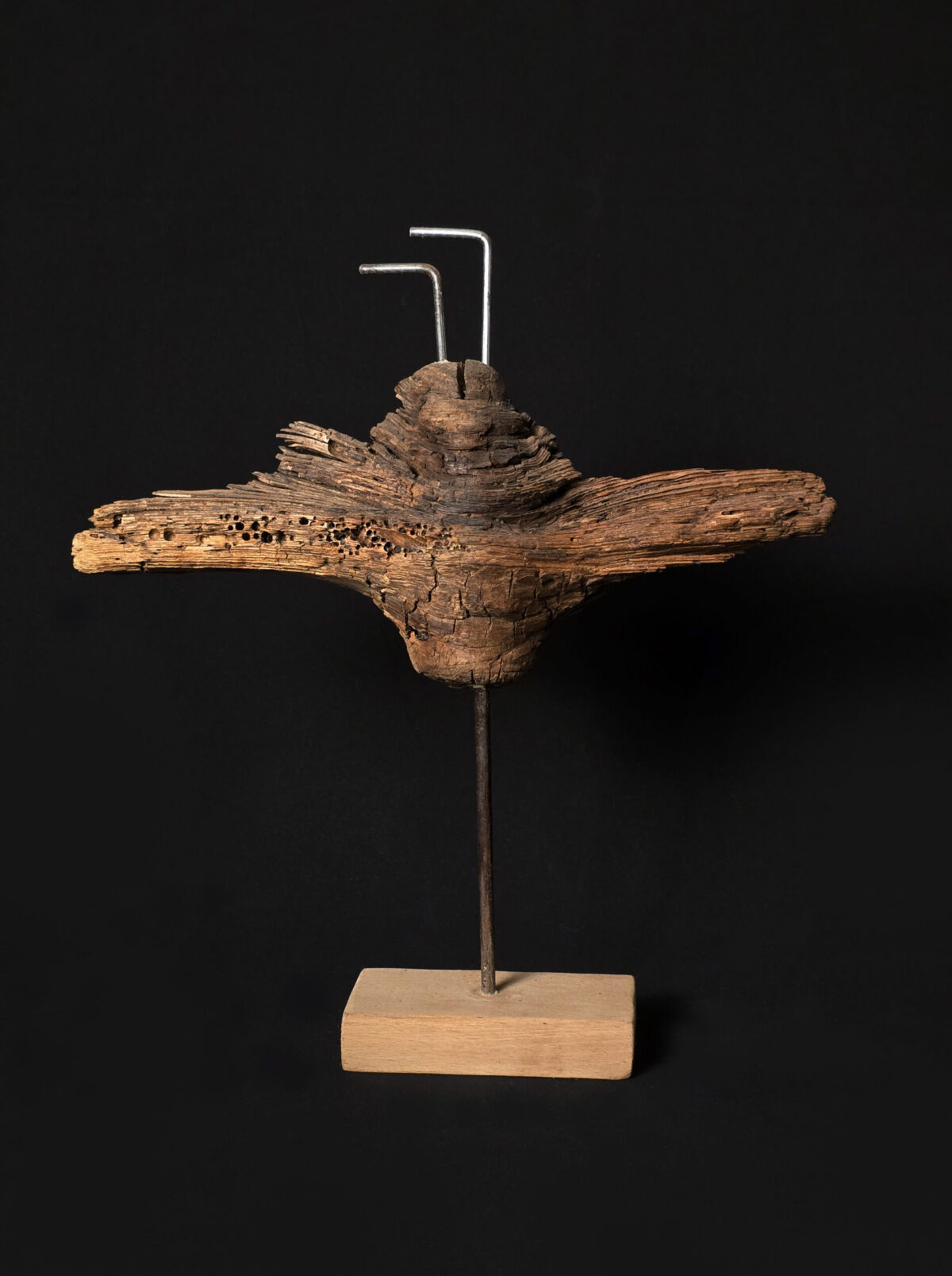Vétéran des profondeurs – sculpture en bois d’olivier, photo 2