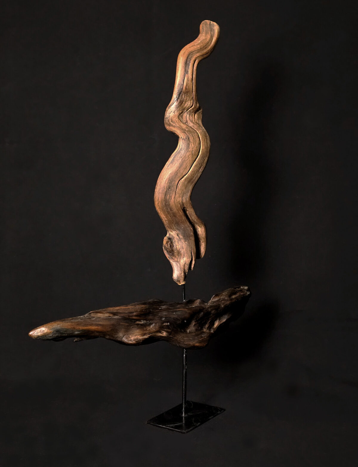 Courant ascendant – sculpture en bois d’olivier, photo 2
