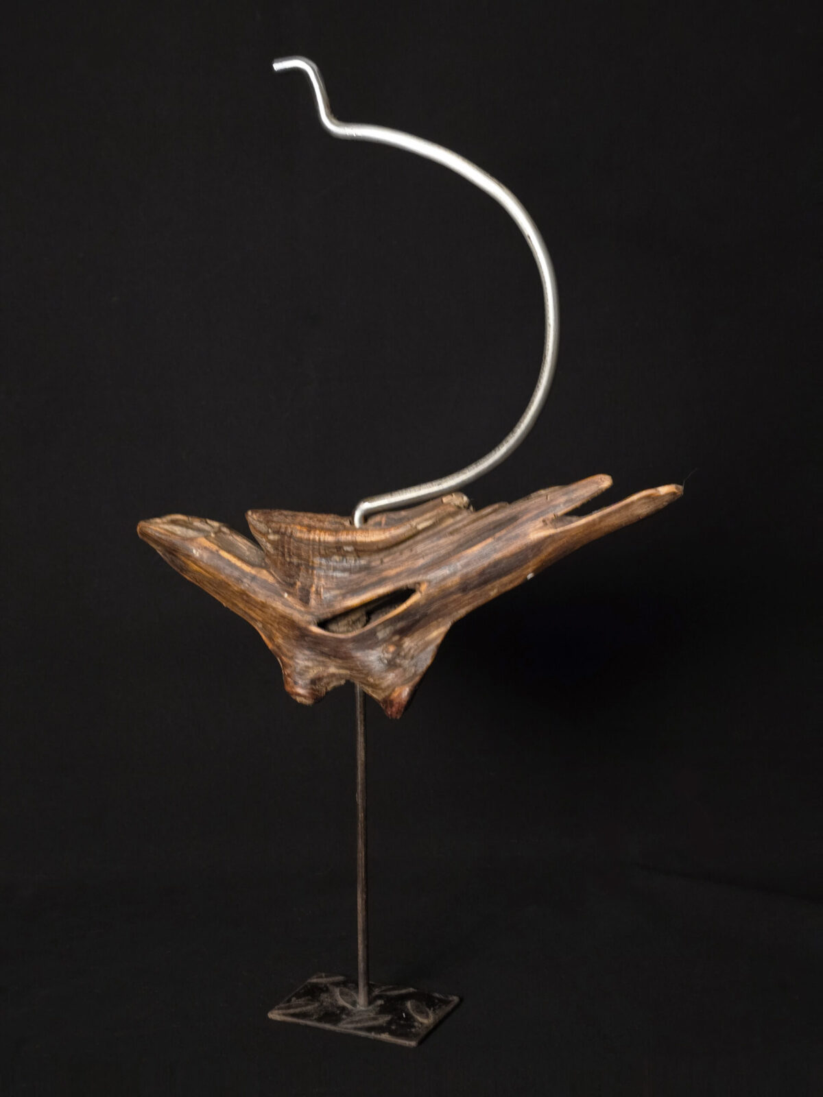 Vol libre – sculpture en bois d’olivier, photo 2