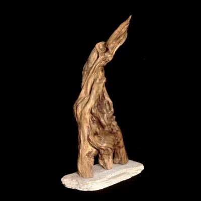 Fantôme de la Belle Époque – sculpture en bois d’olivier, photo 2