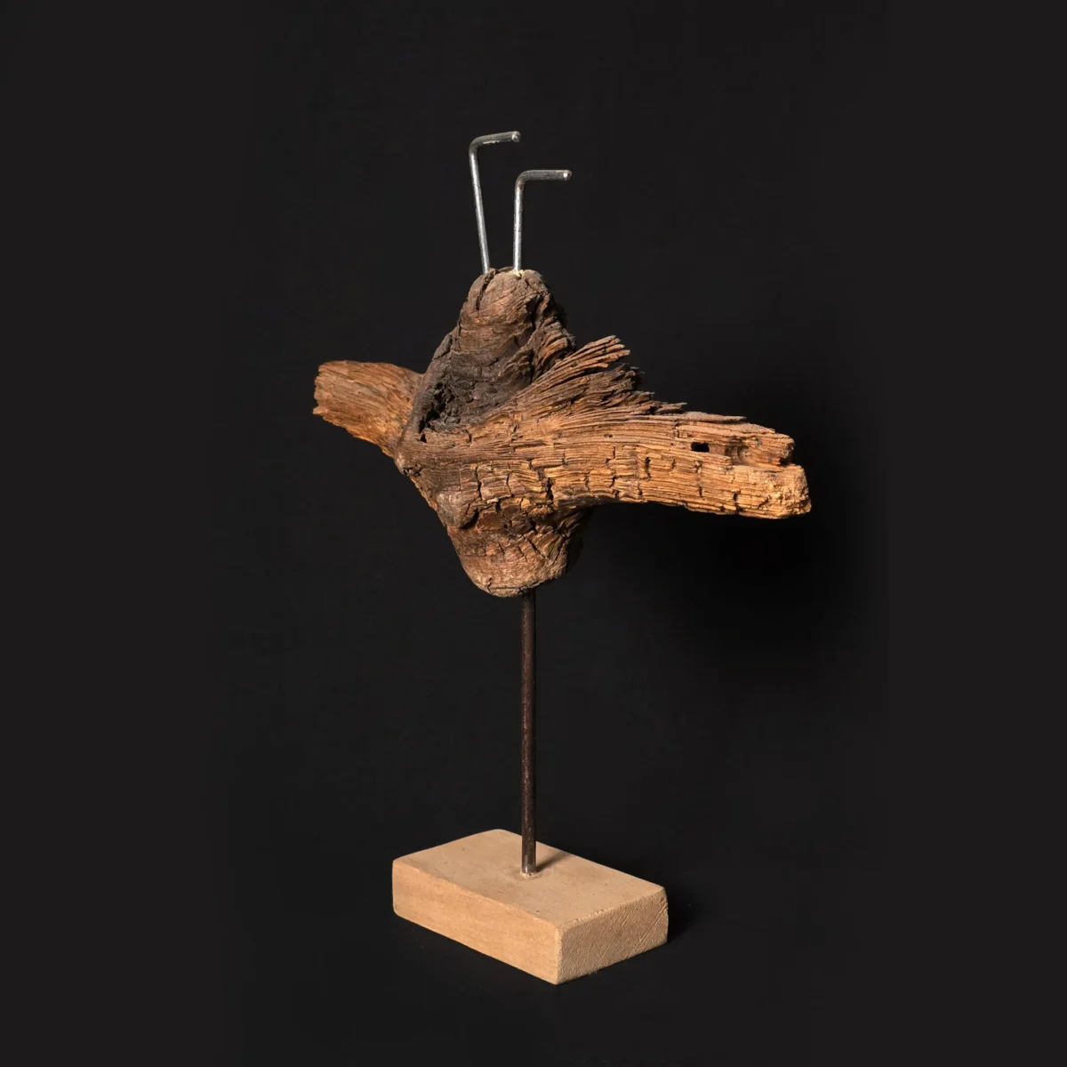 Vétéran des profondeurs – sculpture en bois d’olivier, photo 3
